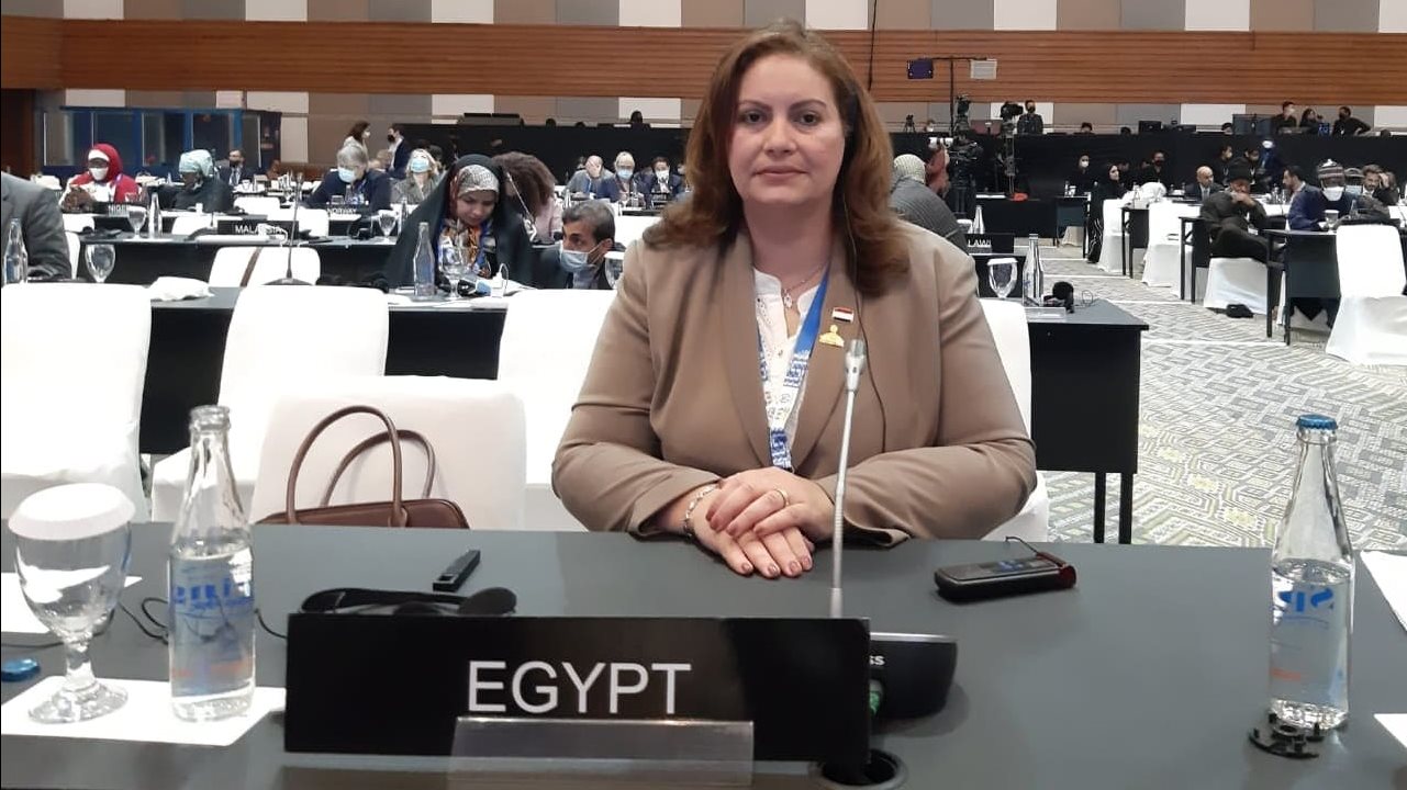  الدكتورة عايدة نصيف عضو مجلس الشيوخ