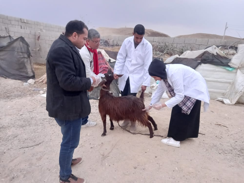 تقديم سبل الدعم للثروة الحيوانية