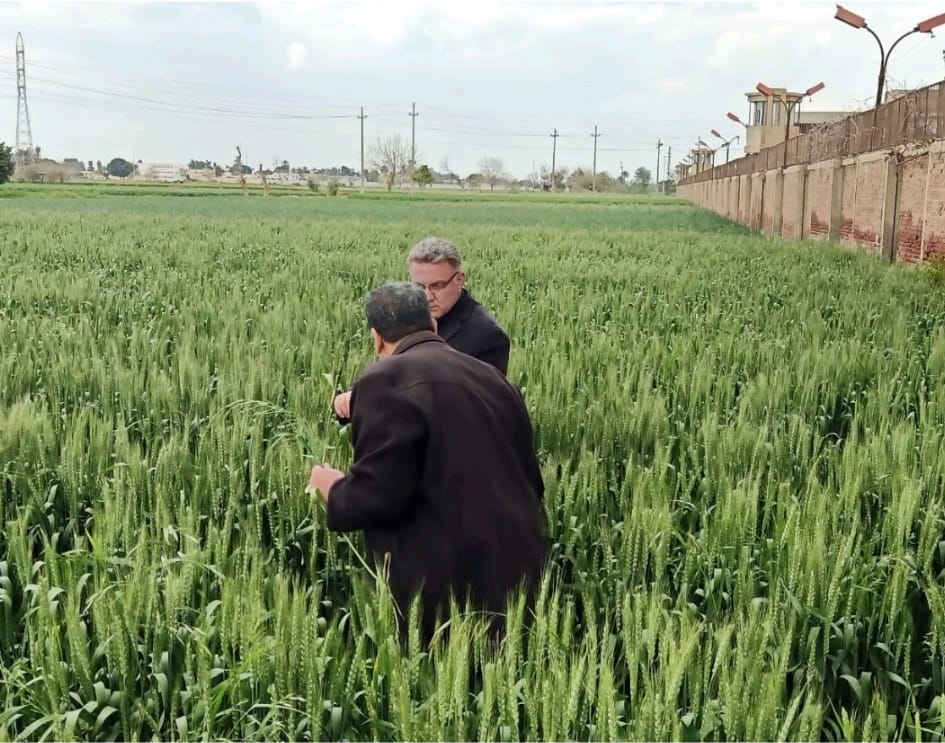 مكافحة الآفات