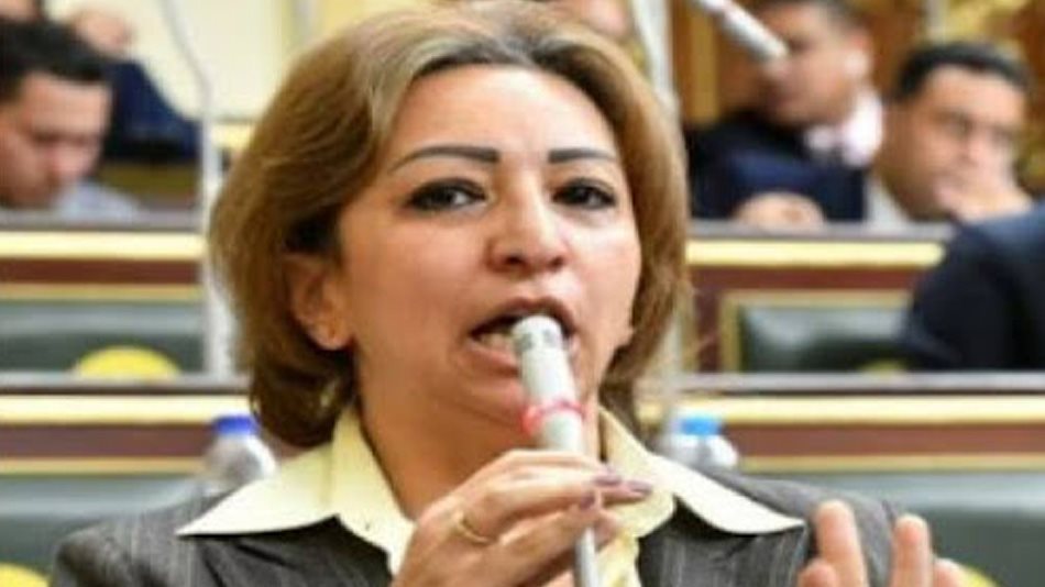  مها عبدالناصر، عضو مجلس النواب عن الحزب المصرى الديمقراطى