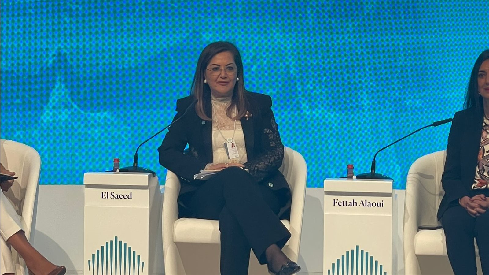 هالة السعيد وزيرة التخطيط 