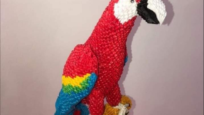 عمل بغبغان طبي الورق   نظام فن الاوريجامي 