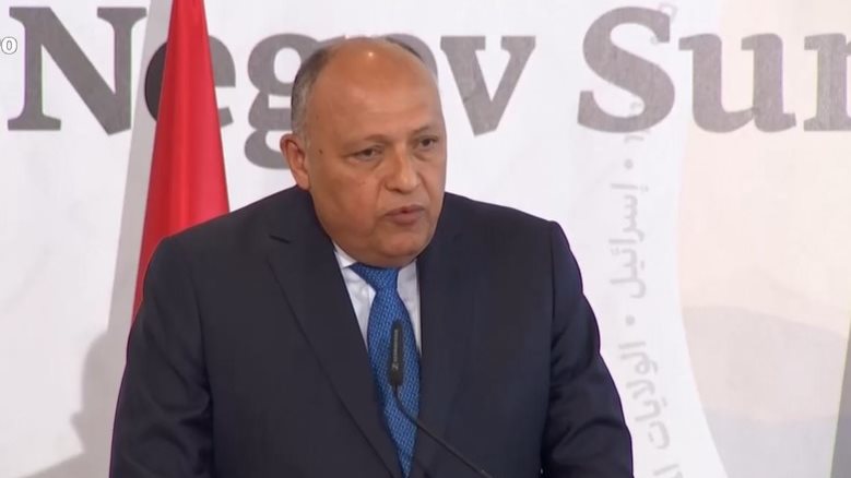 شكري خلال المؤتمر الصحفي 