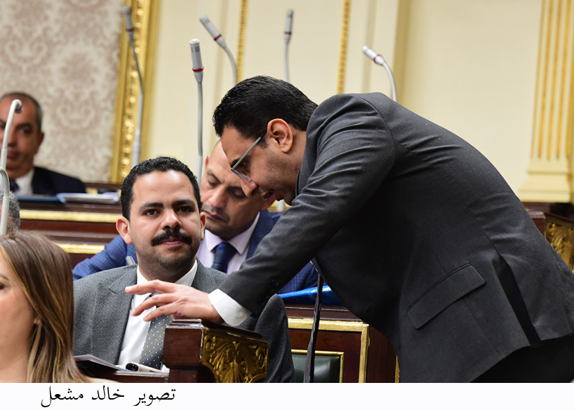 زعيم الأغلبية