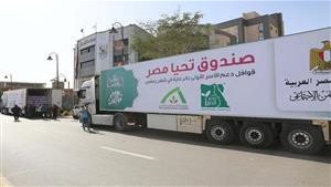 كراتين المواد الغذائية ضمن قوافل وصل الخير كراتين المواد الغذائية ضمن قوافل وصل الخير