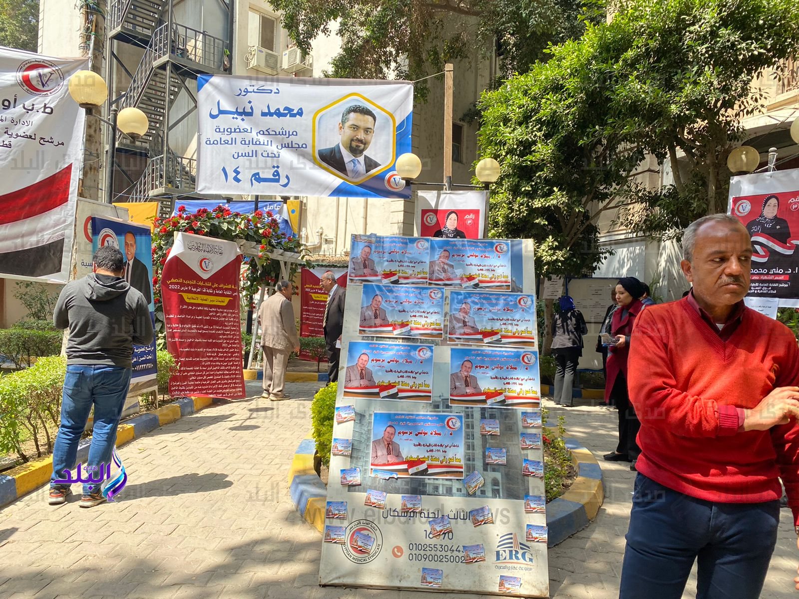 انتخابات نقابة الأطباء البيطريين