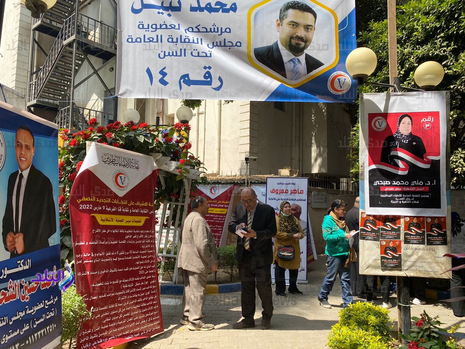 انتخابات نقابة الأطباء البيطريين