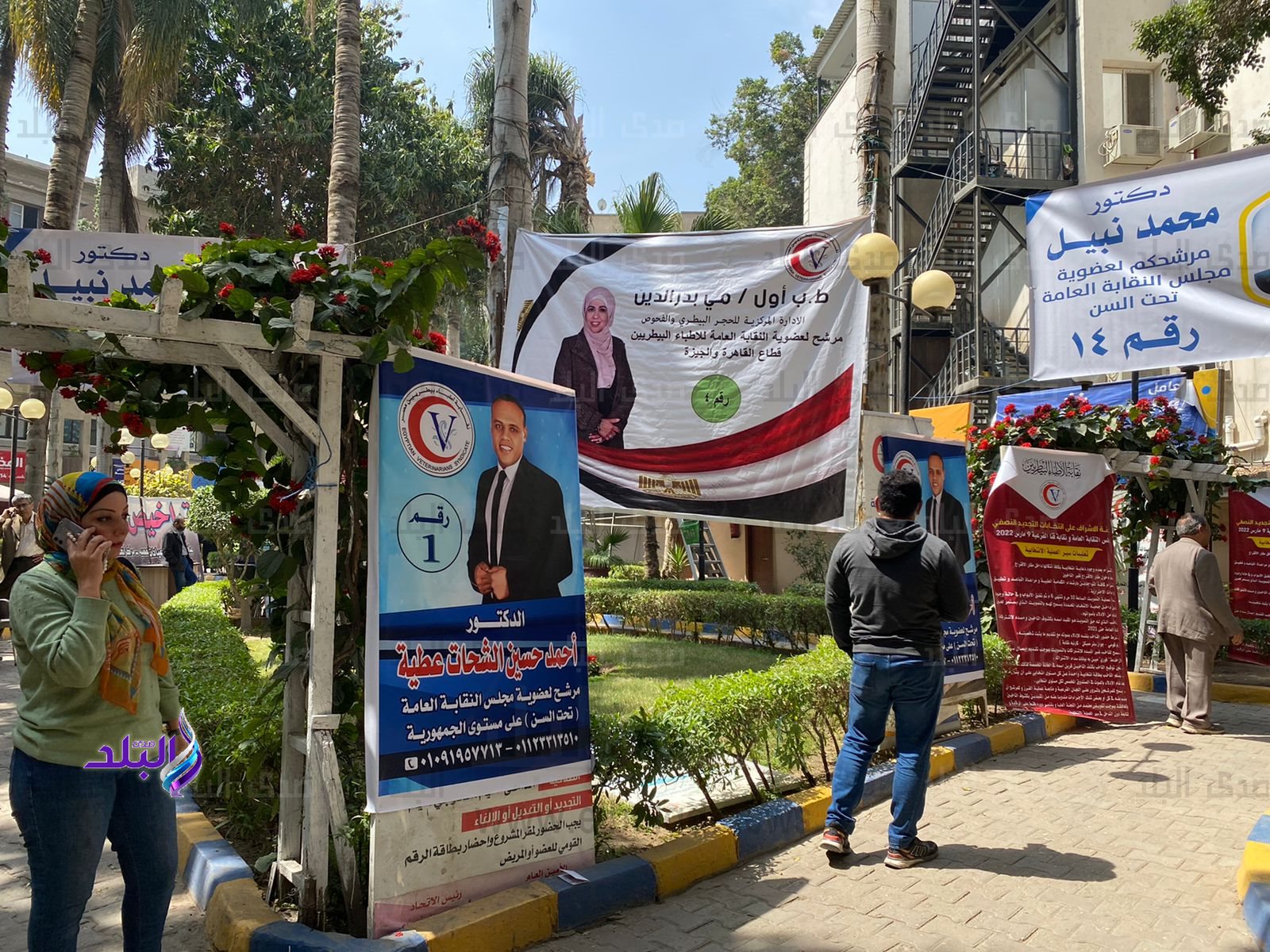 انتخابات نقابة الأطباء البيطريين