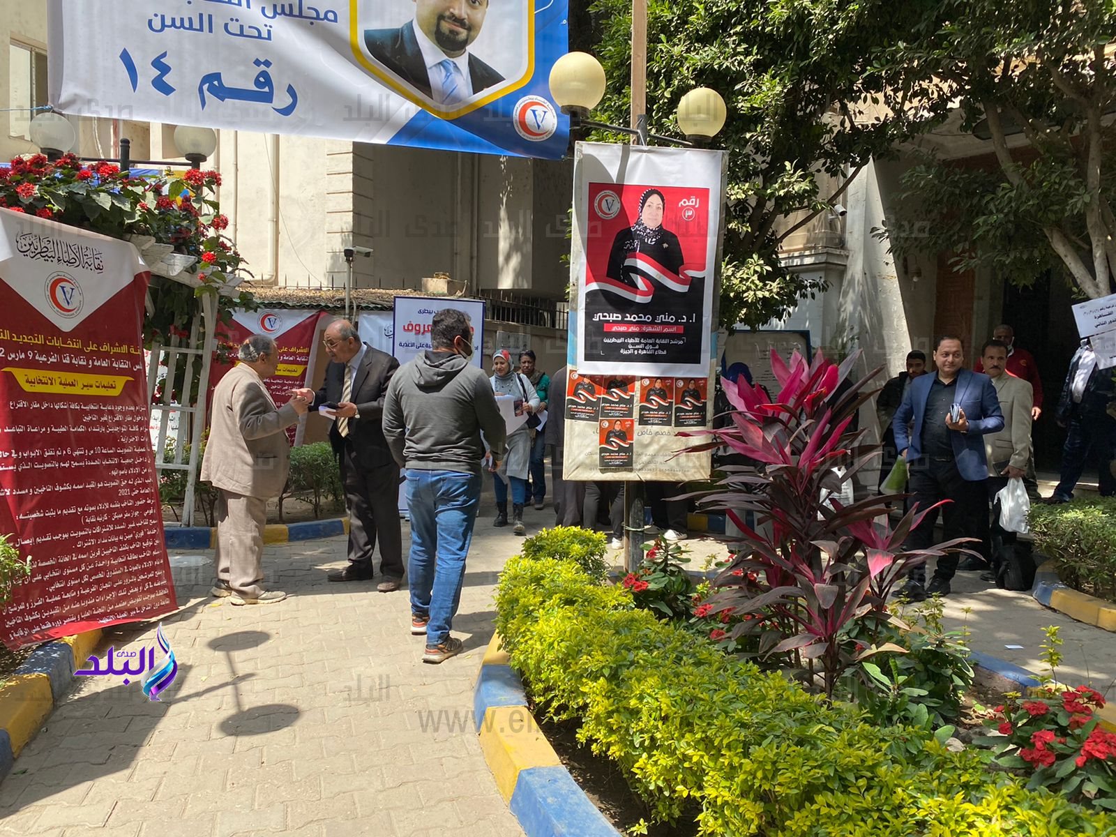 انتخابات نقابة الأطباء البيطريين