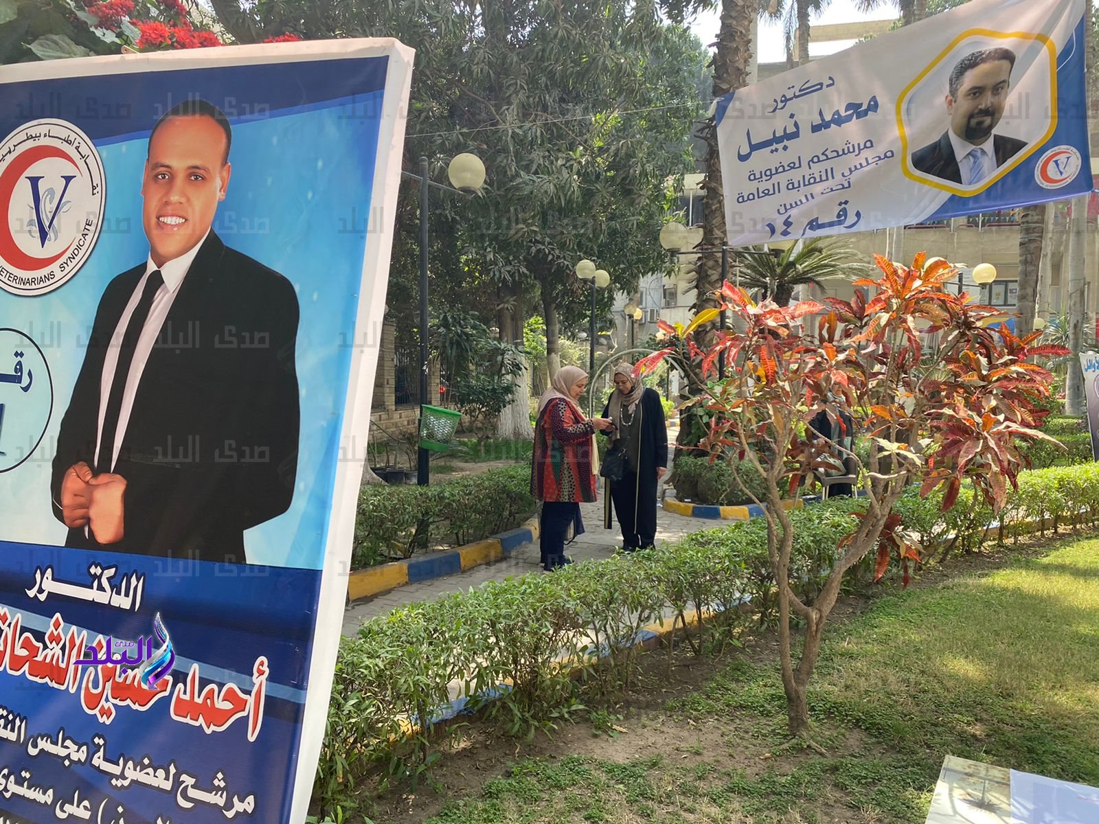 انتخابات نقابة الأطباء البيطريين