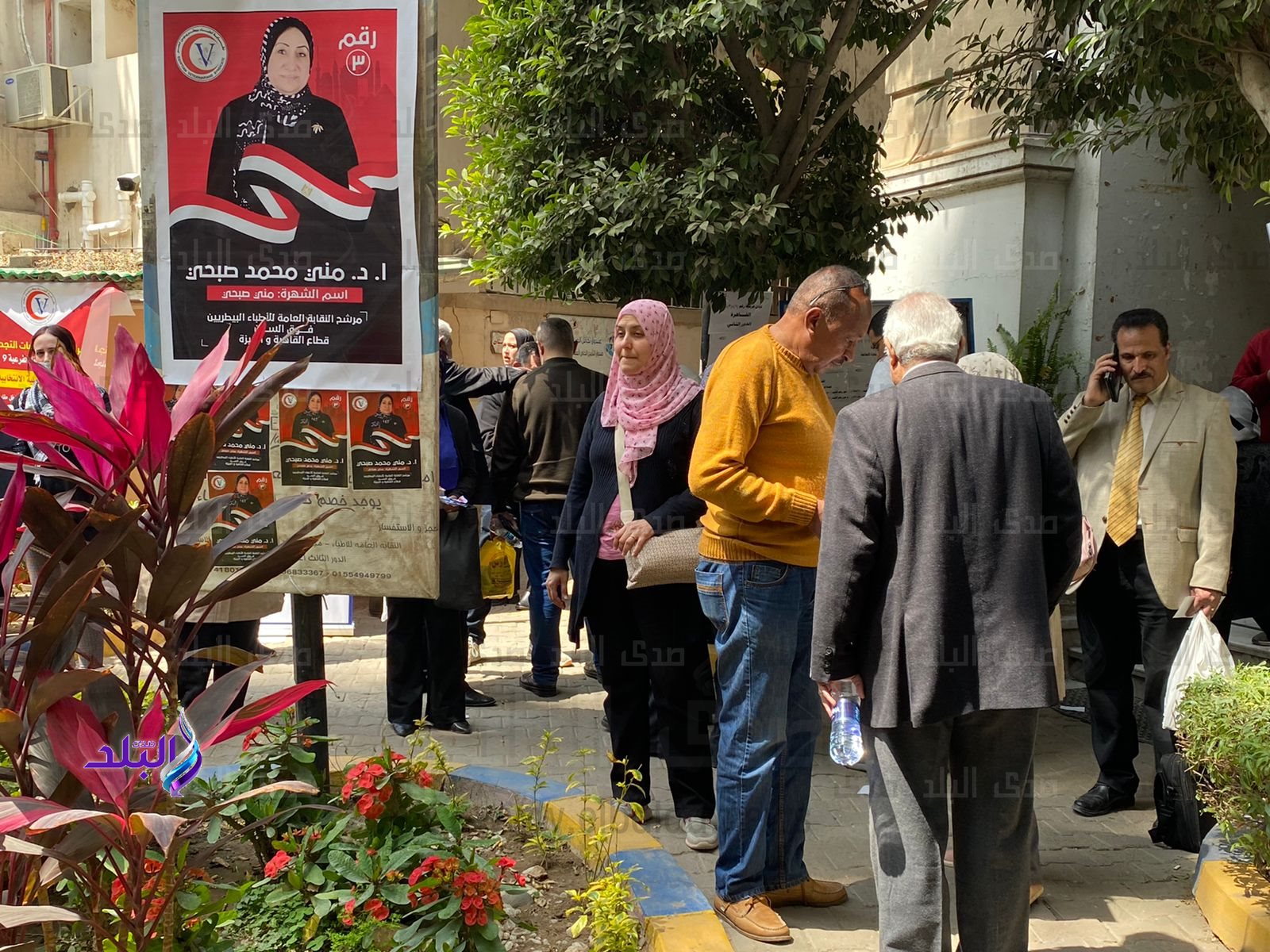 انتخابات نقابة الأطباء البيطريين