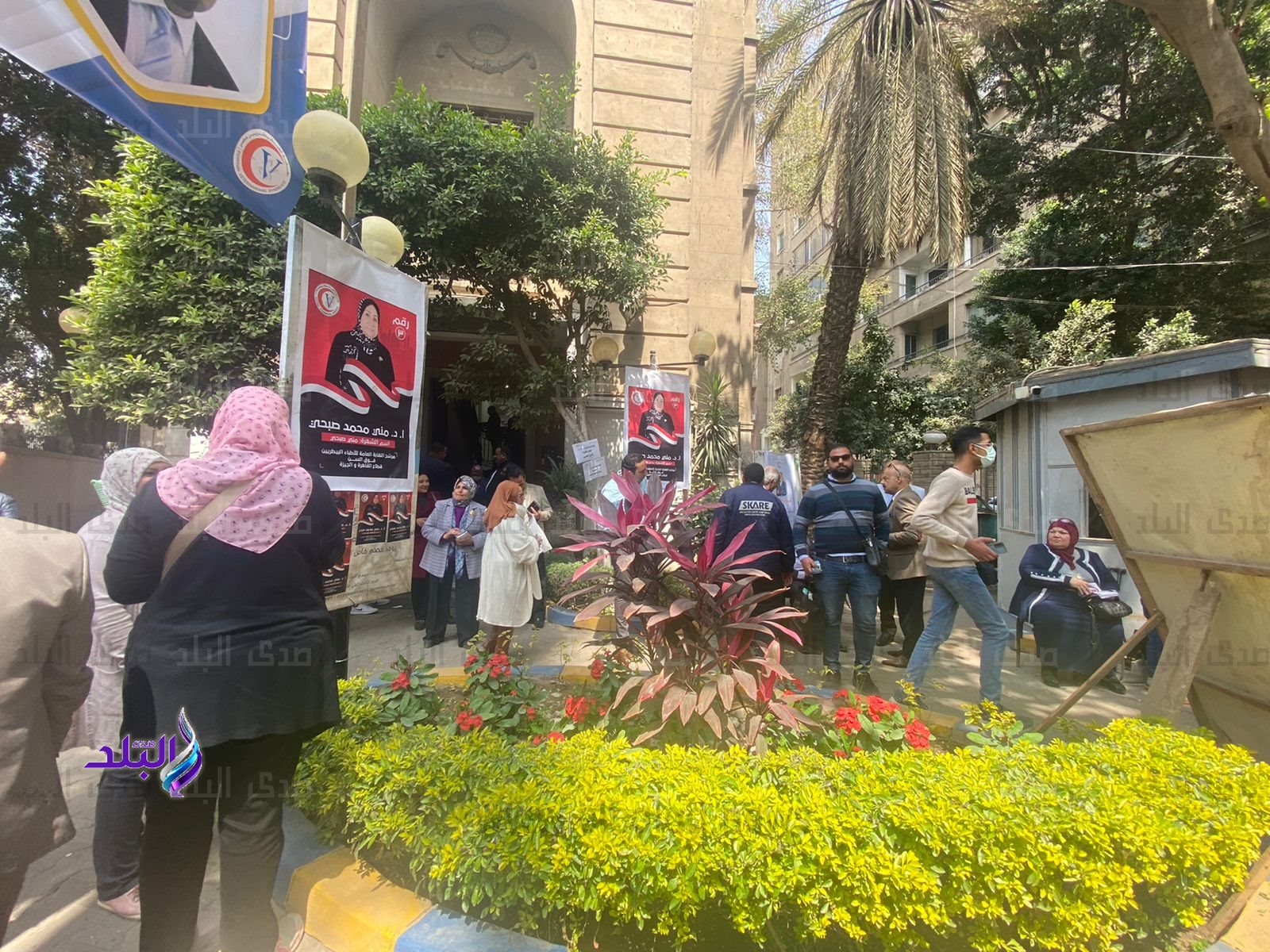 انتخابات نقابة الأطباء البيطريين