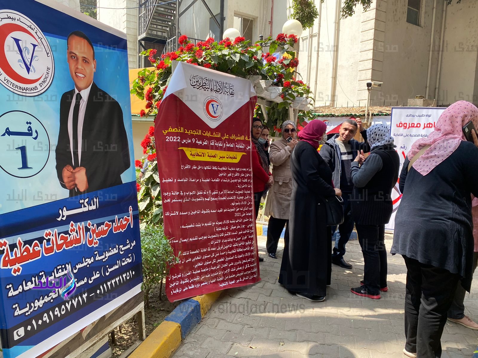 08155a8a-68c8-4e62-a3c2-2da7dcc1c8cf