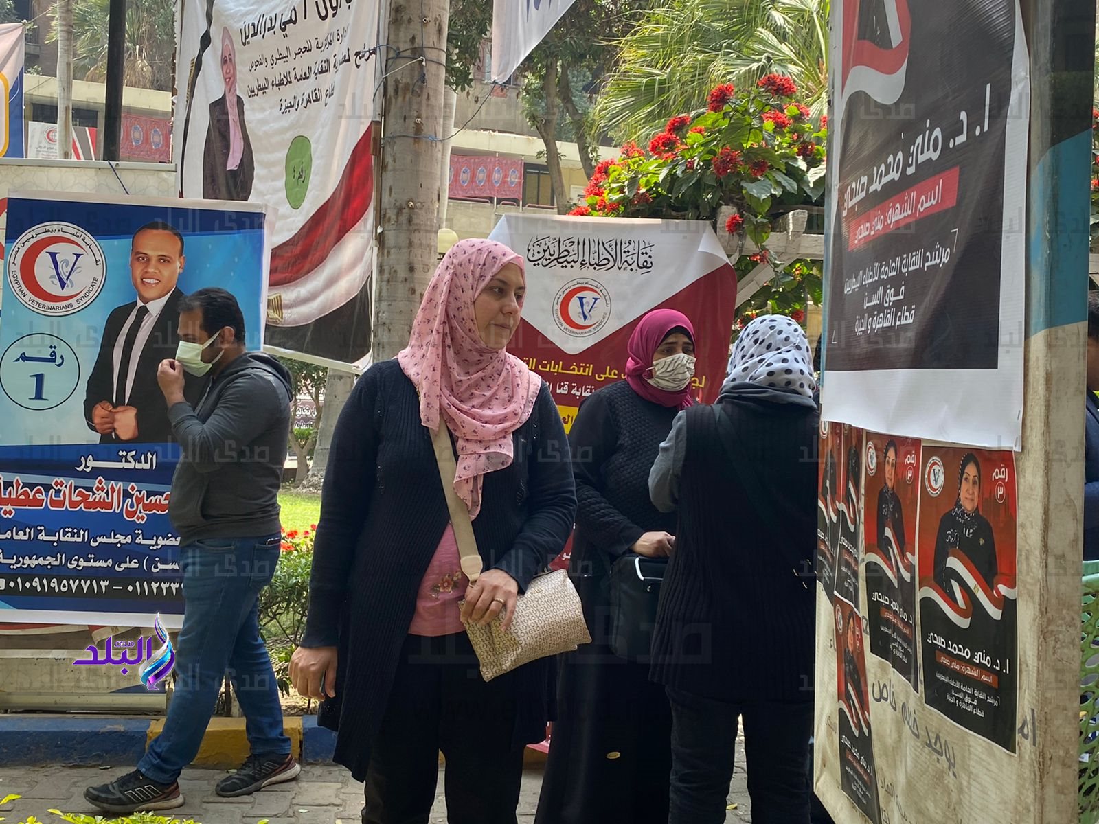 313915ec-eed6-4a0f-92a3-f65298835c11