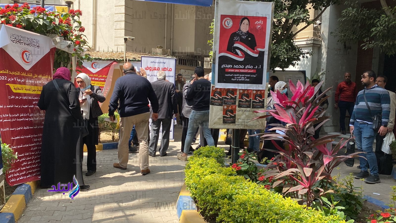 559647c4-2812-4a9b-92b5-29489b72db5f