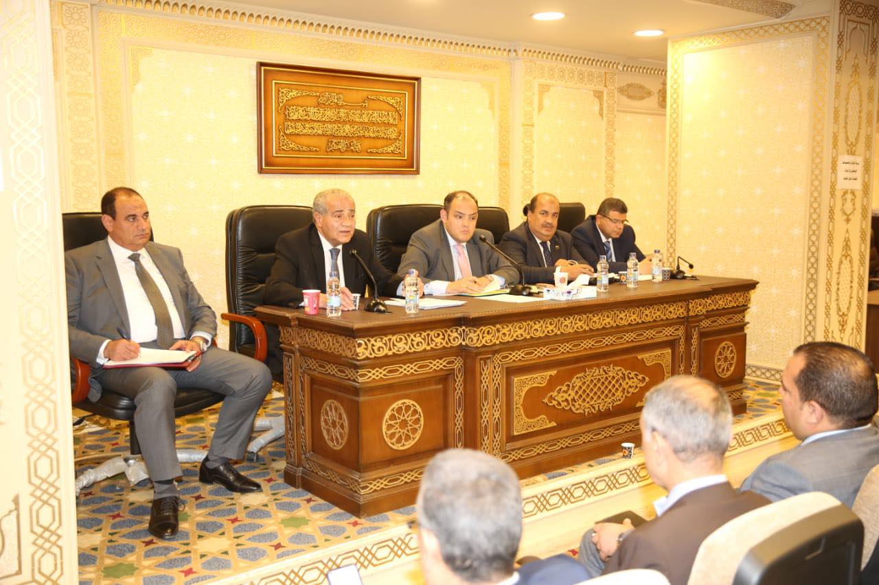 الدكتور على المصيلحى