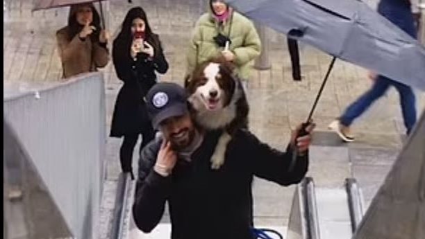 رجل يحمل كلبه على كتفه