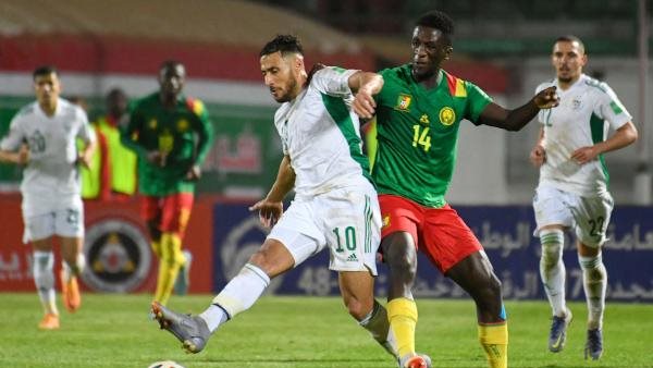 الجزائر ضد الكاميرون