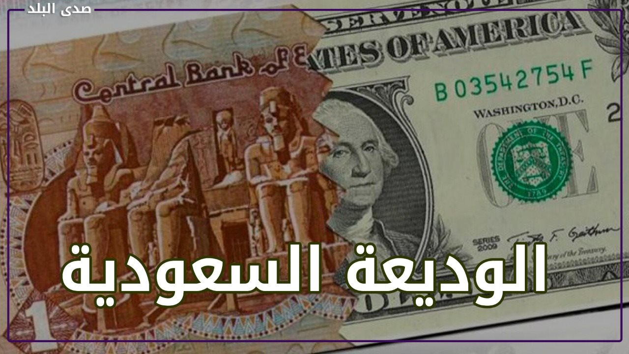 سعر الدولار اليوم 