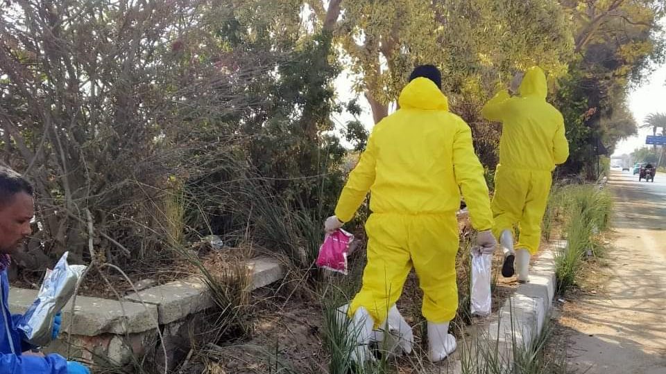 مكافحة ناقلات الأمراض بالمنيا 
