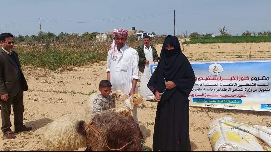 مشروعات تربية الأغنام والماعز في  سيناء 