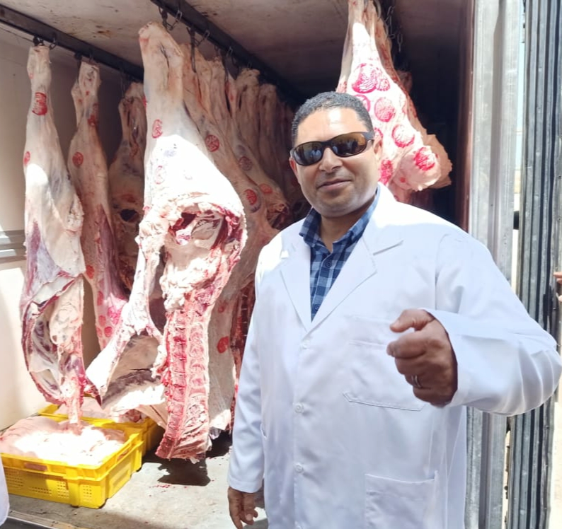 النوبارية 