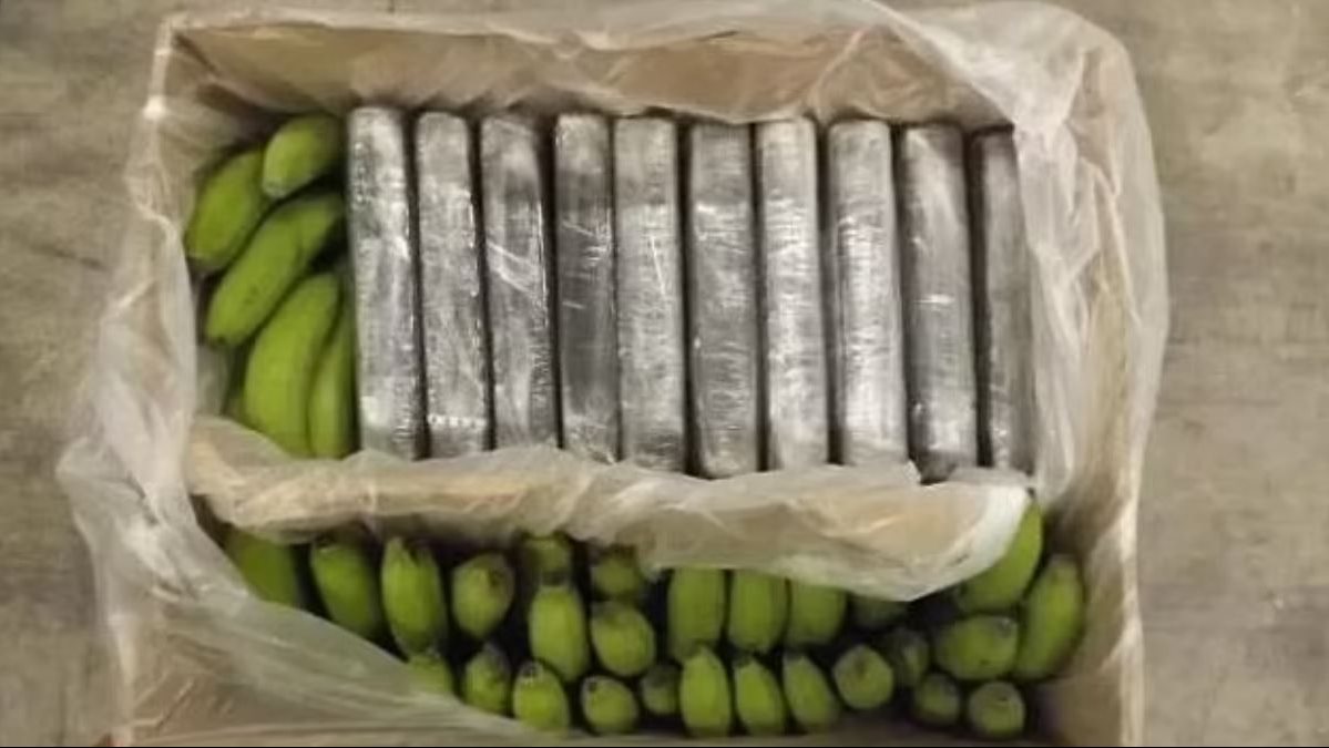 المخدرات المضبوطة