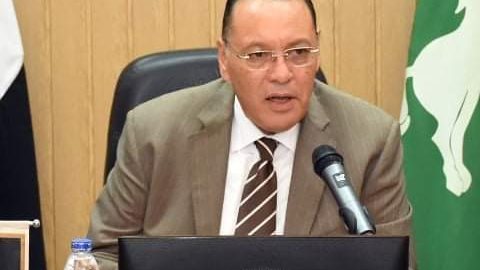 محافظ الشرقية