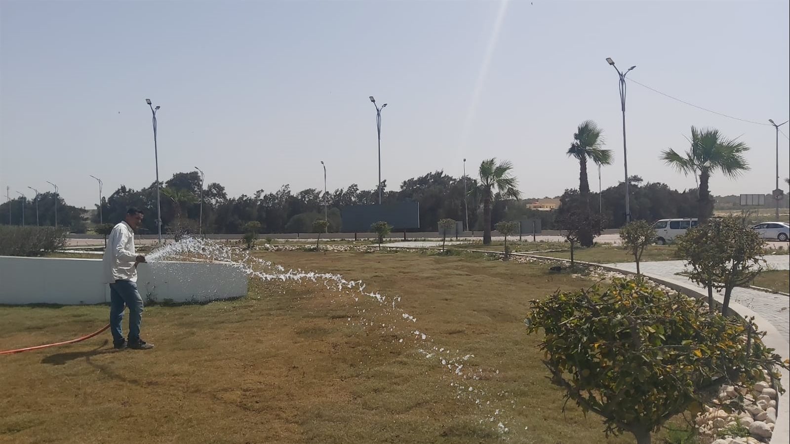 تجميل حدائق الإسكندرية