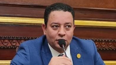النائب مصطفي النفيلي