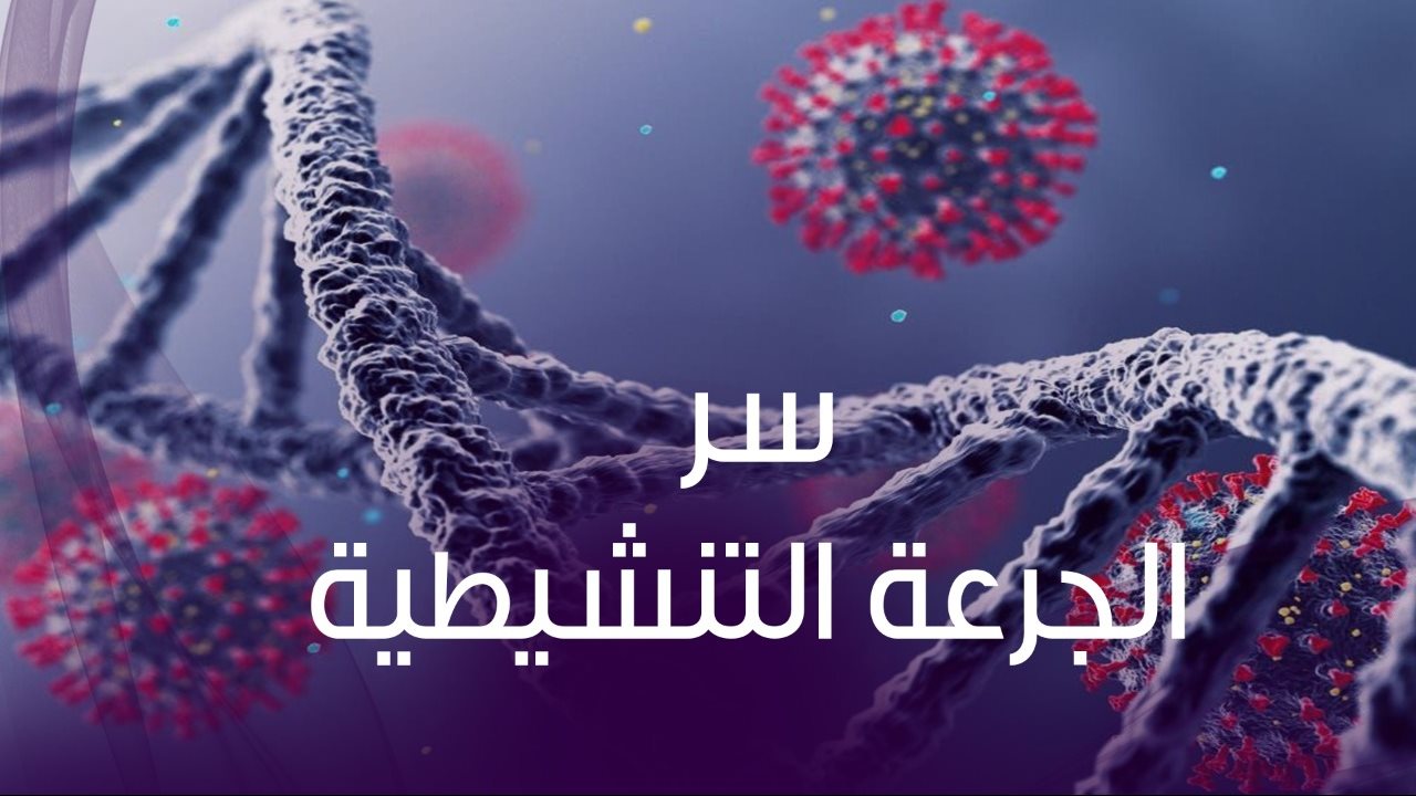 أحداث القرارات ضد كورونا .. ٦ إجراءات وقائية حددتها الصحة 