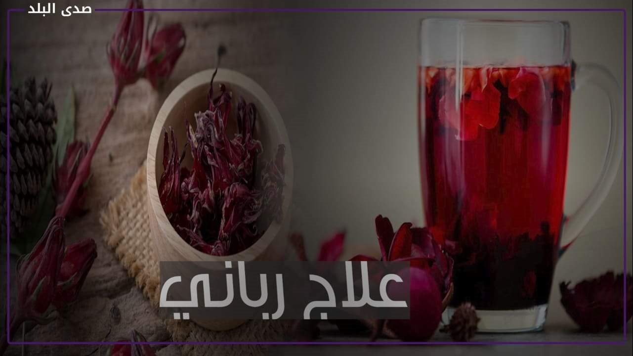 فوائد الكركدية