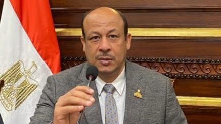 النائب سمير البيومي