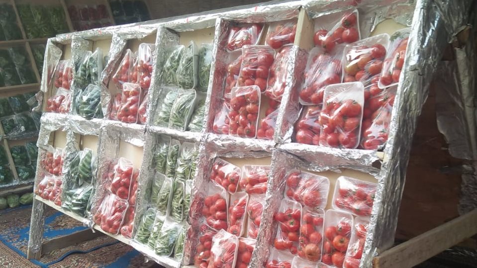 منافذ بيع الخضروات 