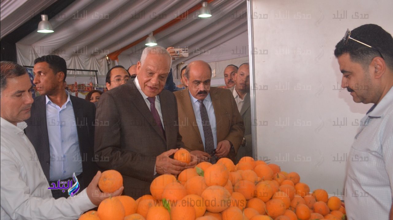 اللواء أحمد راشد محافظ الجيزة  اللواء أحمد راشد محافظ الجيزة