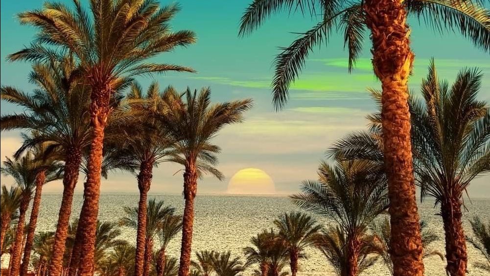 شمال سيناء