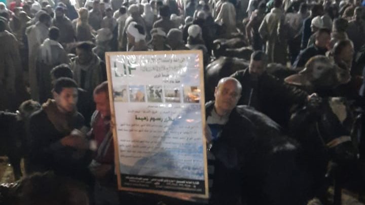 صندوق التأمين على الماشية 