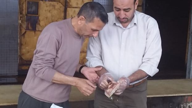 ضبط 2039 كيلو لحوم وأسماك " رنجة"، مابين غير صالحة للاستهلاك