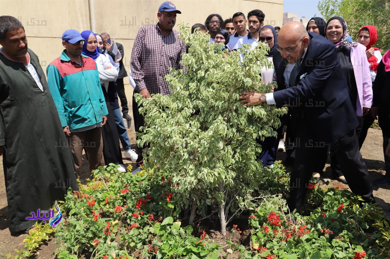 جامعة عين شمس تزرع الأشجار