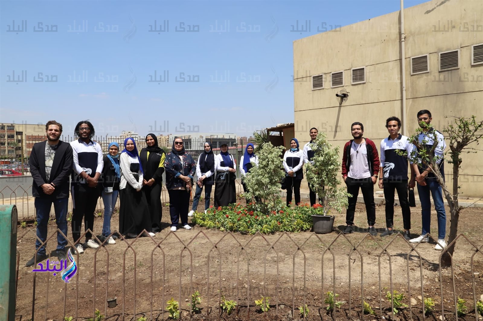 جامعة عين شمس تزرع الأشجار