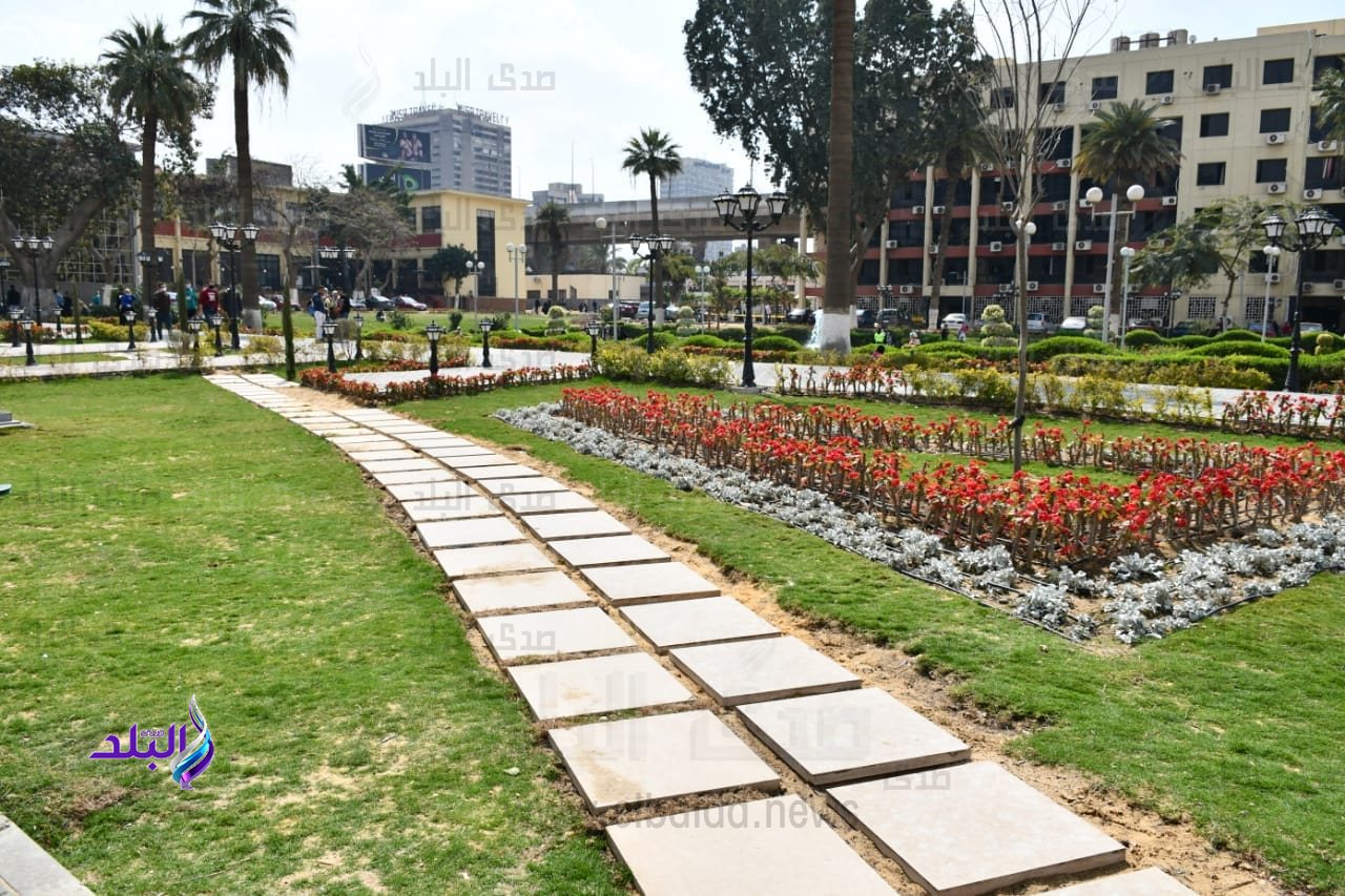 جامعة عين شمس تزرع الأشجار