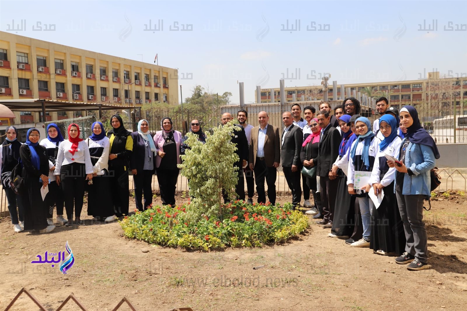 جامعة عين شمس تزرع الأشجار