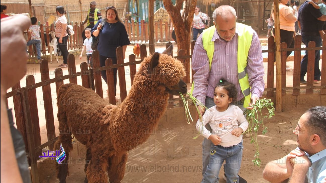 حديقة الحيوان