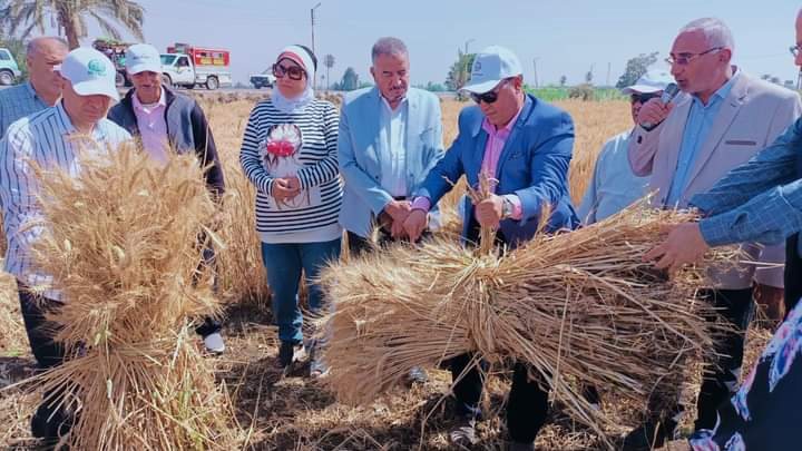 وكيل وزارة الزراعة بالفيوم أثناء الجولة