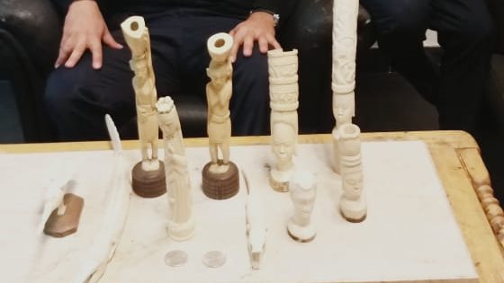 صورة من الضبطية