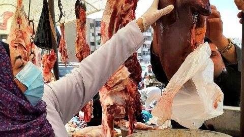 بيطري الشرقية