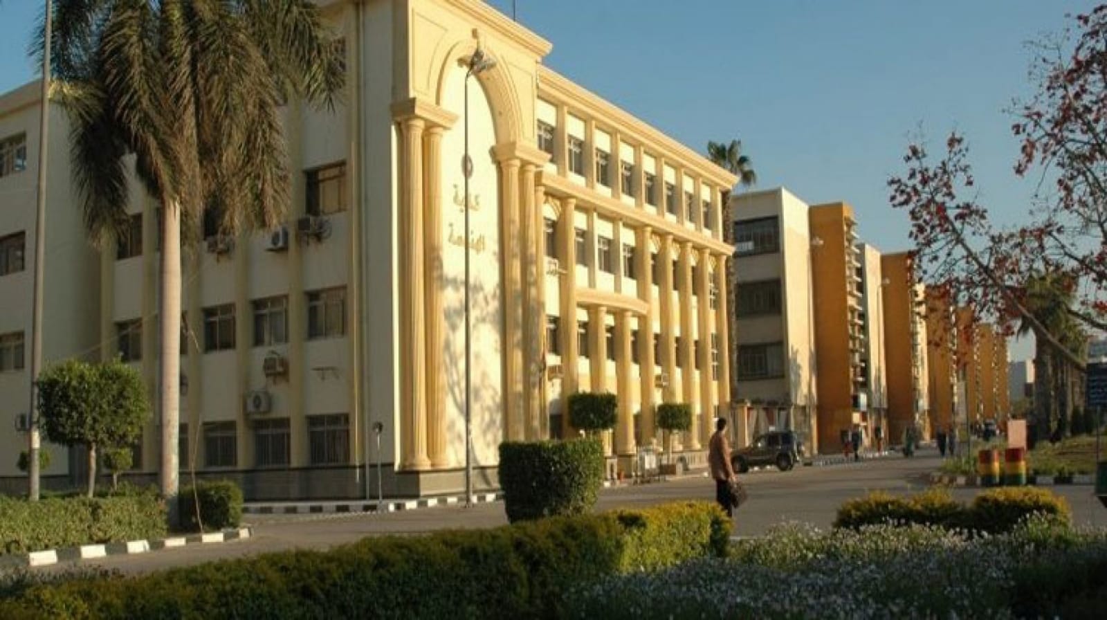 هندسة المنصورة