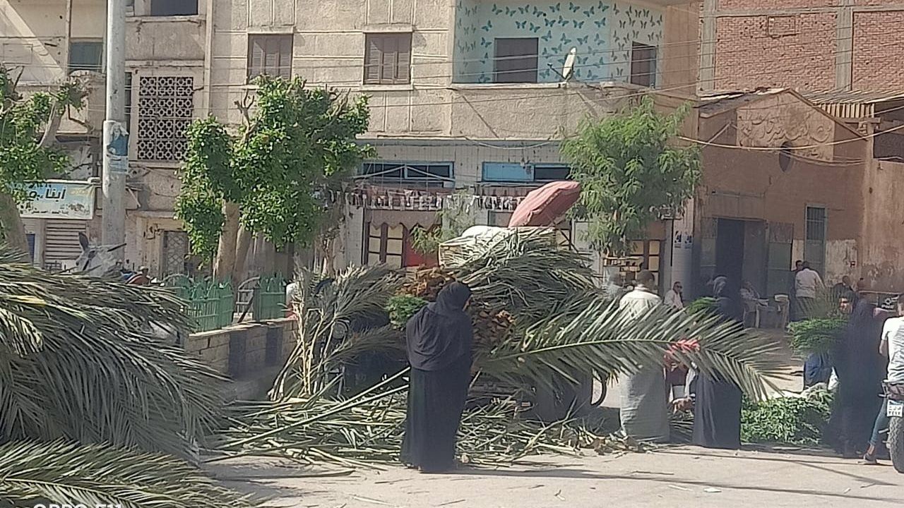 السيدات أثناء شراء الجريدة لوضعها على مدفن الزوج