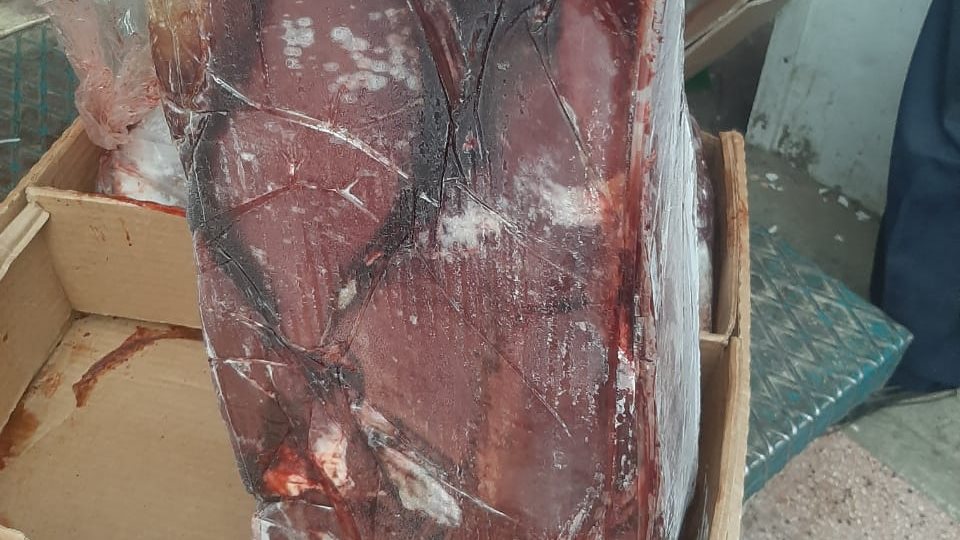 صورة أرشيفية صورة أرشيفية