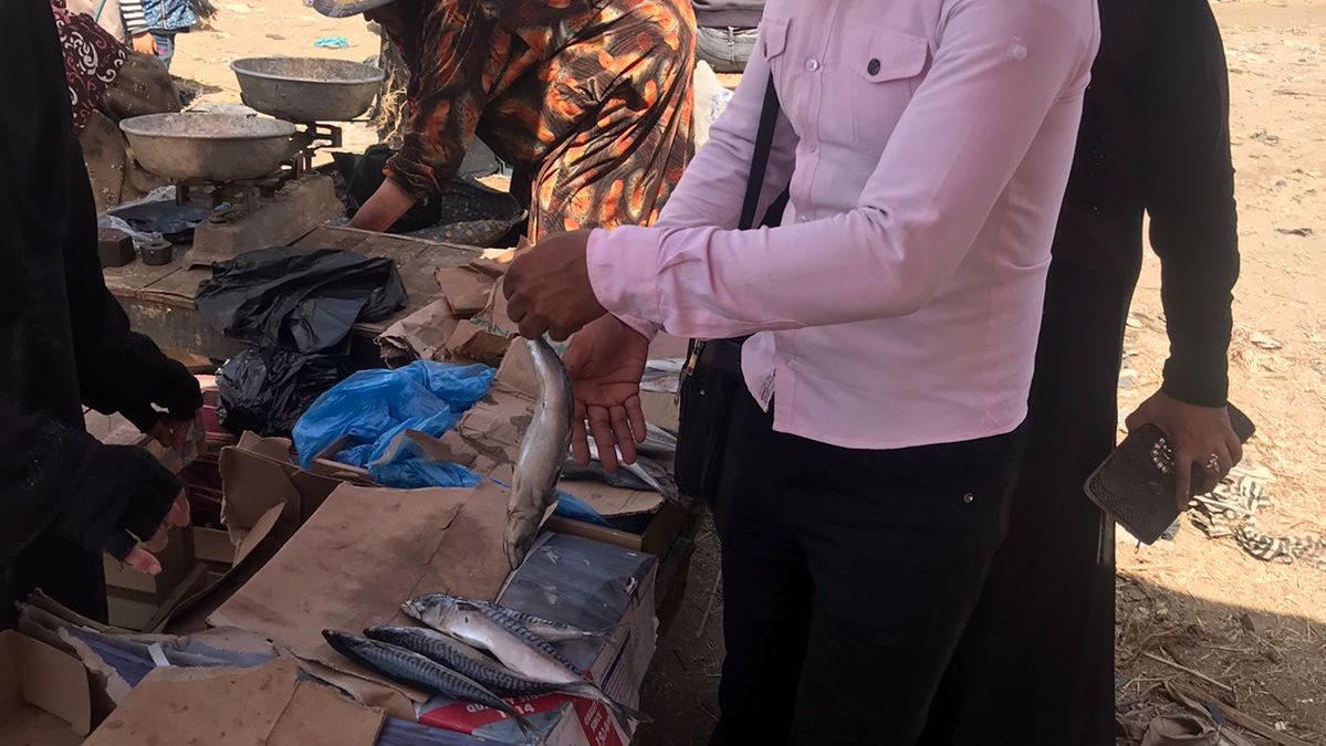 حملات تفتيشية